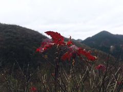 -四明山国家森林公园
