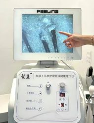 -木北造型