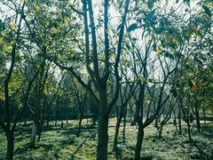 -白塘生态植物园