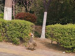 -汉长安城未央宫国家考古遗址公园