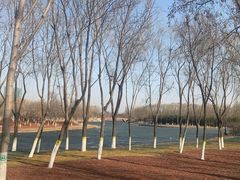 -大兴滨河森林公园