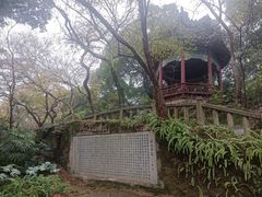 -乌山风景区