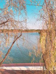 -卓玥国际月子会所(罗山路店)