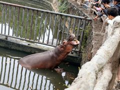 -海南热带野生动植物园