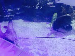 -常州海昌海洋探索馆