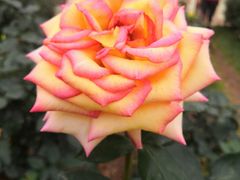 -人民公园(罗湖区)