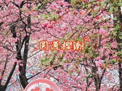-昆明动物园