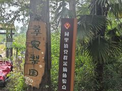 -同里国家湿地公园