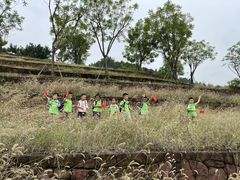 -宾果蒙特梭利托育儿童之家幼儿园(爱琴海店)