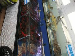 -欢乐海岸美食联盟