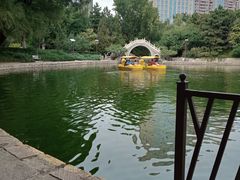-团结湖公园