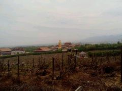 android_upload_pic-红光山景区