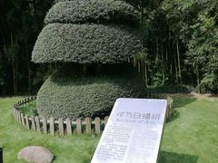 -苏州河梦清园环保主题公园