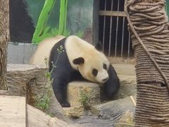 -南昌动物园