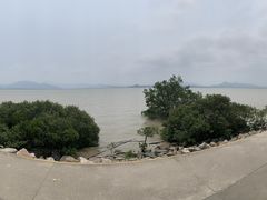 -深圳湾公园(南山区)