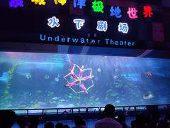 -泉城欧乐堡海洋极地世界