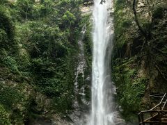 -莫里热带雨林景区