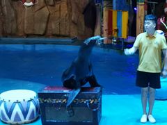 -烟台海昌鲸鲨海洋公园