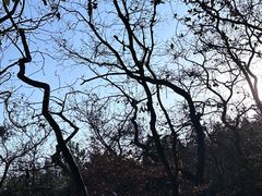 -九龙潭景区