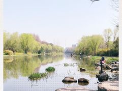 -新江湾城公园
