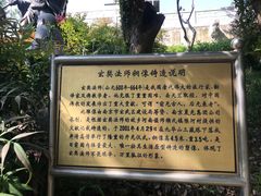 -九华山公园
