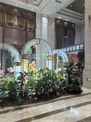 -禾丽康美医疗美容医院