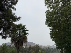 -枫香湖儿童公园