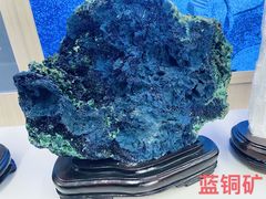 -北京中医药大学-中医药博物馆