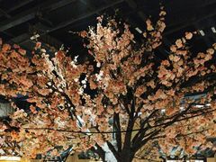 -绿茶餐厅(昌平悦荟店)