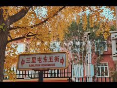 -三里屯东五街银杏大道