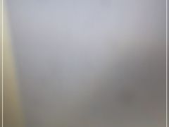 -魏家凉皮(来广营店)