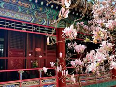 -潭柘寺景区