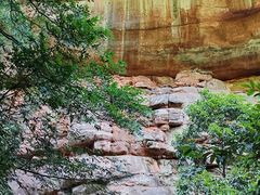 -赤水丹霞旅游区·佛光岩