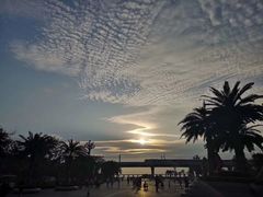 -宝安西湾红树林湿地公园