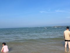 -日照海滨国家森林公园