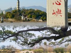 -江心屿景区