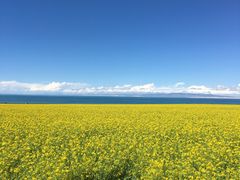 -青海湖国家重点风景名胜区