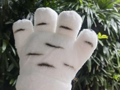 -广州长隆野生动物世界