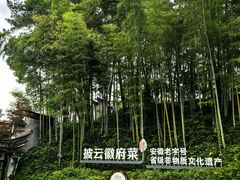 -披云山庄