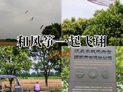 -汉长安城未央宫国家考古遗址公园