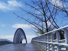 -大兴滨河森林公园