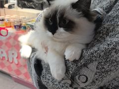 -FAELING PETS美天灵宠物(富力广场店)