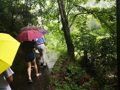 -永州阳明山国家森林公园