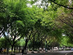 -西南政法大学(渝北校区)