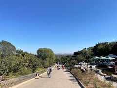 -北京西山国家森林公园