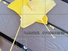 -北京石刻艺术博物馆(五塔寺)