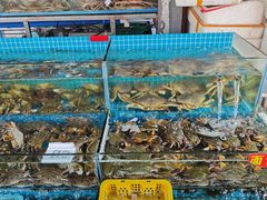 -上海龙吴水胜海发市场