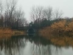 -溱湖国家湿地公园