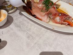 -南海渔村(珠江新城店)