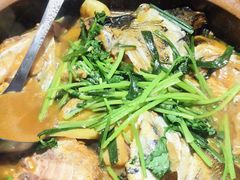 -九道菜有鸡鱼头(石鼓路店)